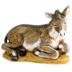 BURRO