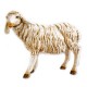 STANDING SHEEP