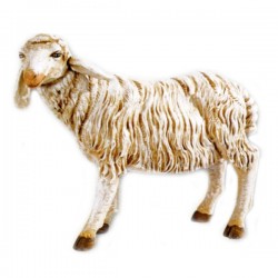 STANDING SHEEP
