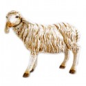STANDING SHEEP