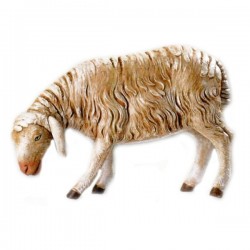 STANDING SHEEP