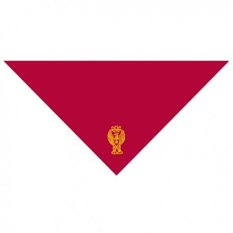 SCARF FOR POLICE 