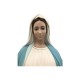 VIRGEN MILAGROSA