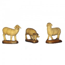 SHEEP