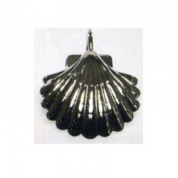 BAPTISM SHELL