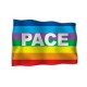 PEACE FLAG
